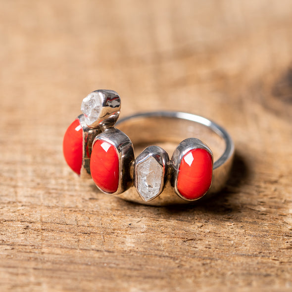 Red Fossil Coral Simplicity